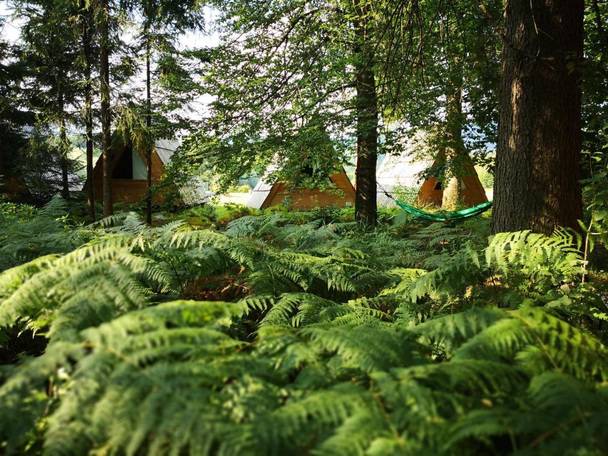 Glamping Forest Edge Kamnik Eksteriør bilde